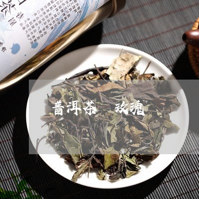 普洱茶 玫瑰/2023042992158